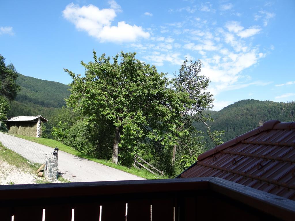 Apartments Trebusak Laze v Tuhinju Luaran gambar